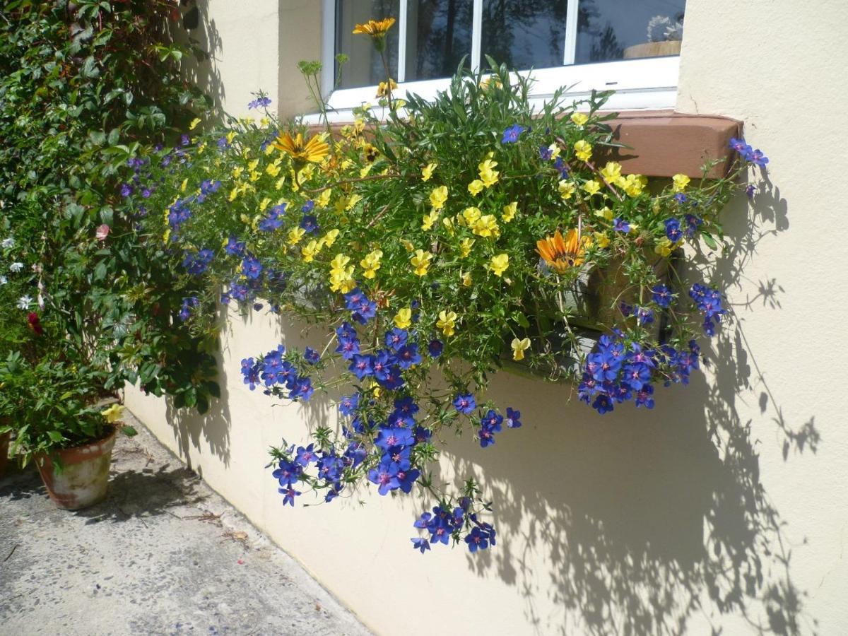 North Headborough Bed & Breakfast Haverfordwest Ngoại thất bức ảnh